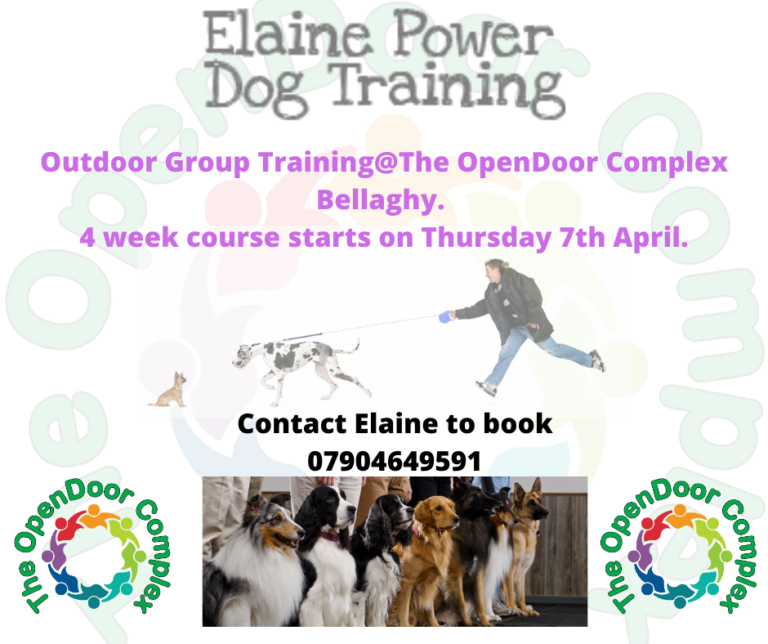 Dog Training with Elaine Power