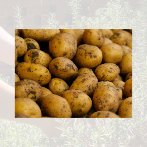 Potatoes