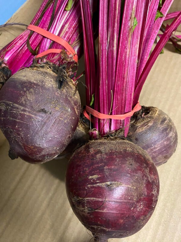 Fresh Bunch of Beetroot - Image 2