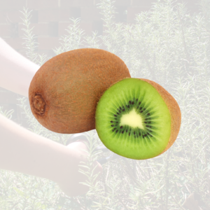Green Kiwi
