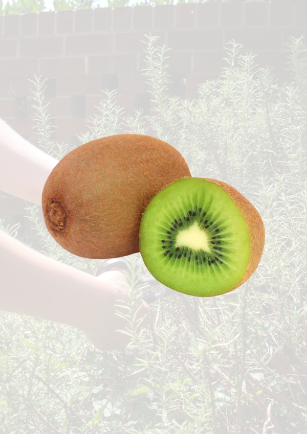 Green Kiwi