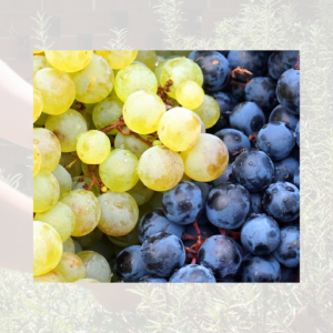 Mixed Grape Punnet