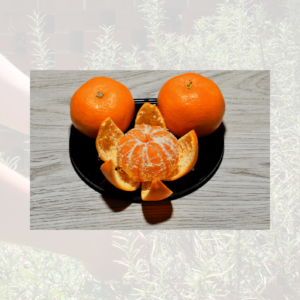 Satsuma