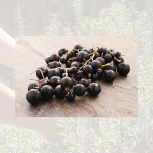 Blackcurrants
