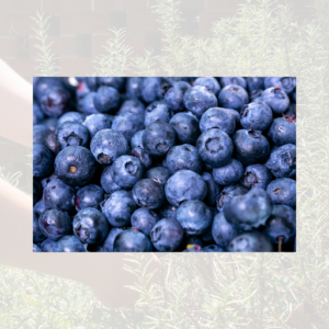 Blueberries