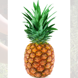 Pineapple