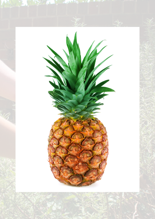 Pineapple