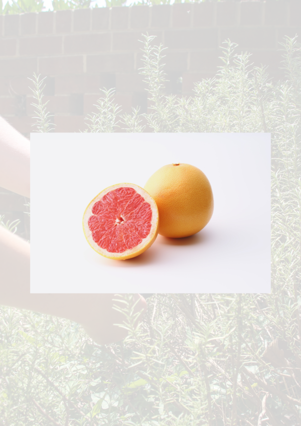 Pink Grapefruit