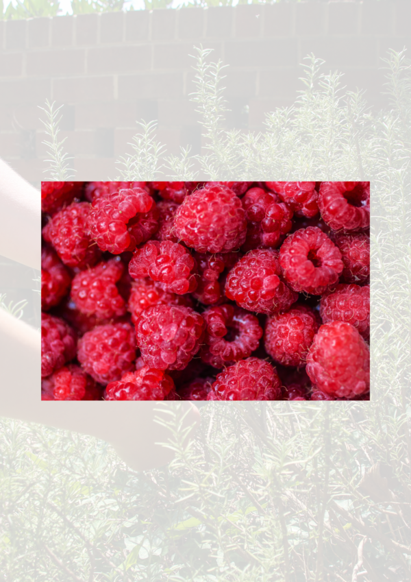 Raspberries
