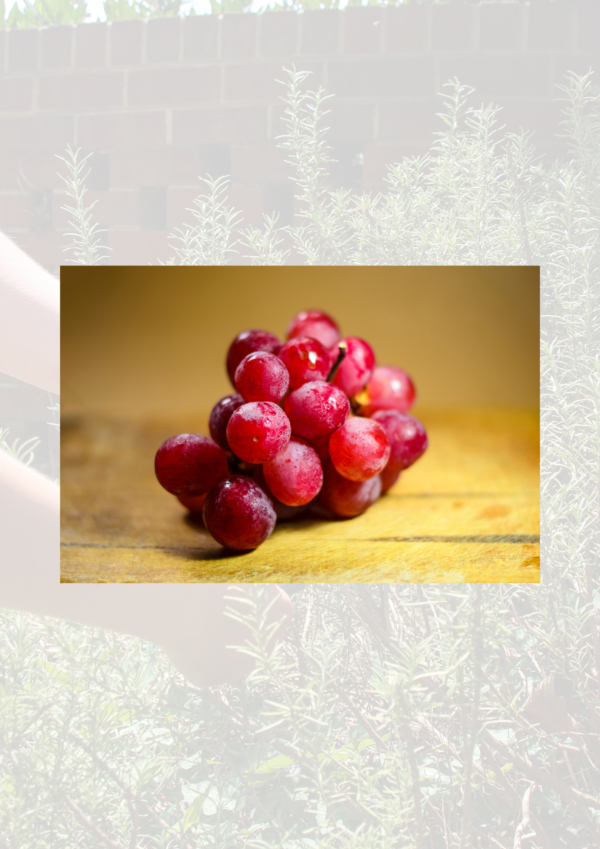 Red Grapes