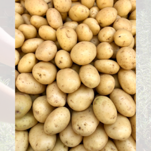 Baby potatoes