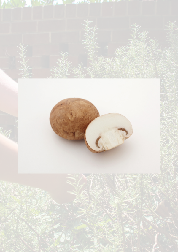 Brown cap mushrooms