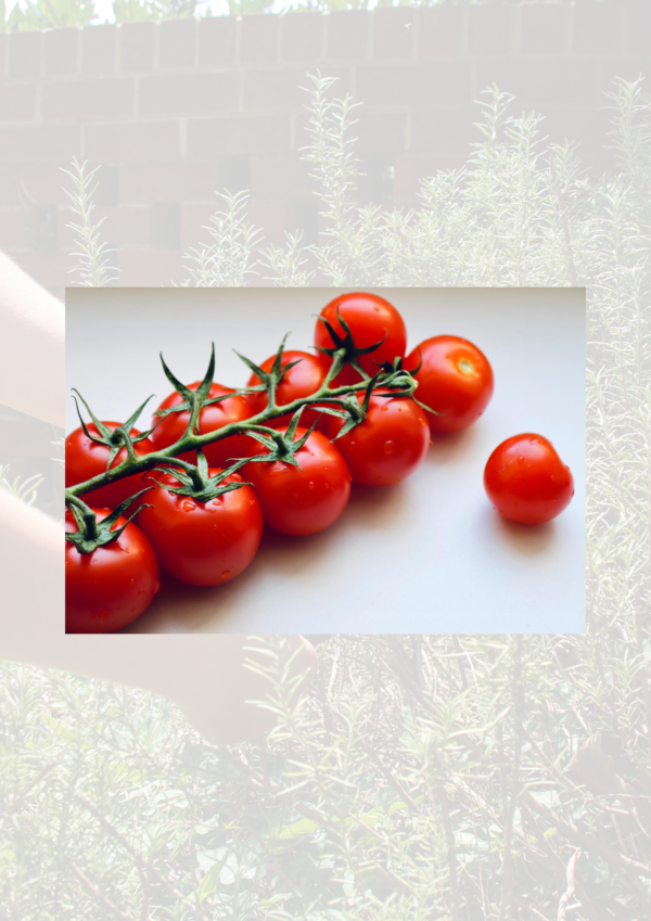 Cherry tomatoes £3 per lb