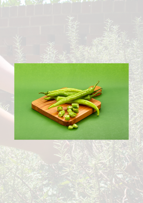 Green Chilli