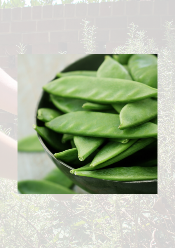 Mange tout