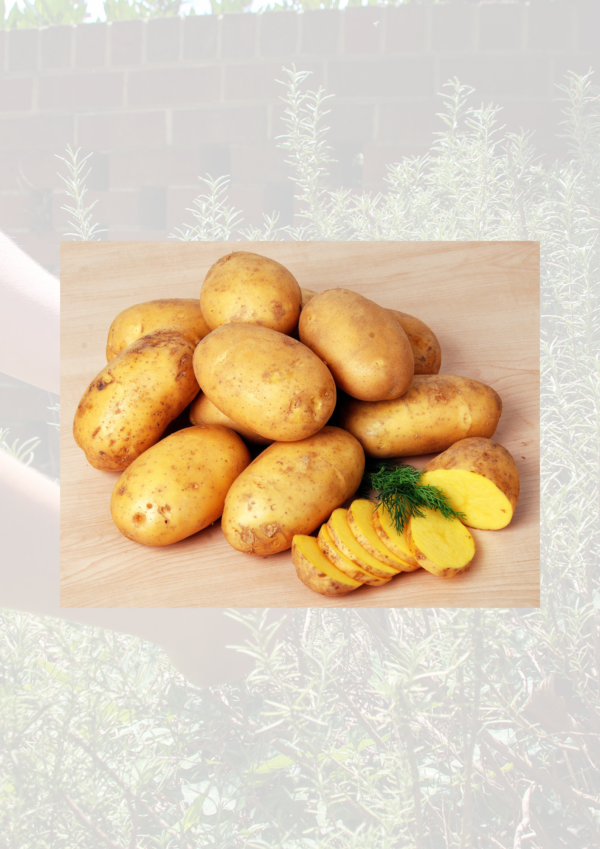 Navan potatoes