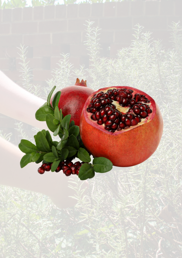 Pomegranate