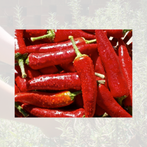 Red Chilli