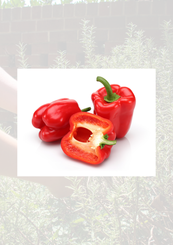 Red Pepper