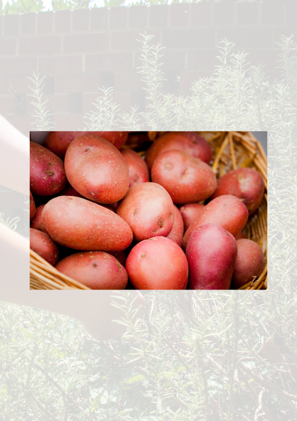 Rooster potatoes