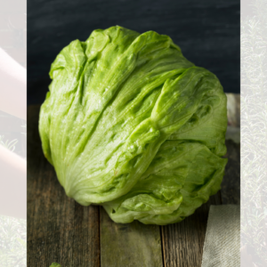 Round lettuce