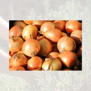 Stock Onions