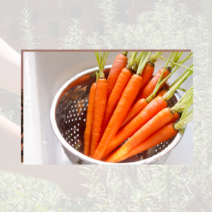Washed carrots