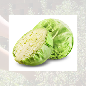 White cabbage
