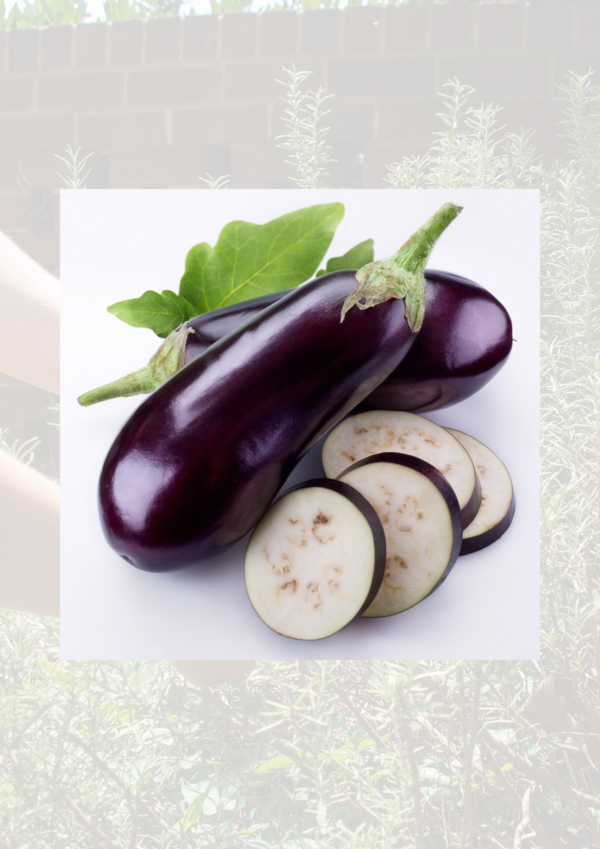 Aubergines