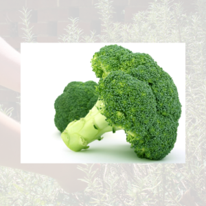 Broccoli