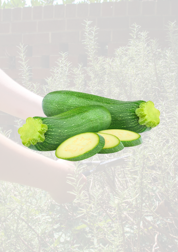 Courgettes