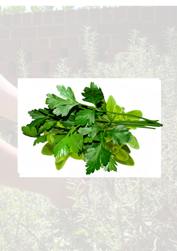 Flat-leaf parsley 100g bag