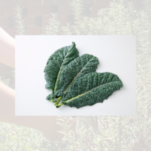 Kale