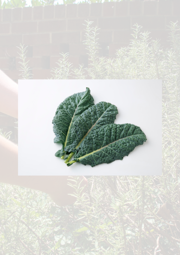 Kale