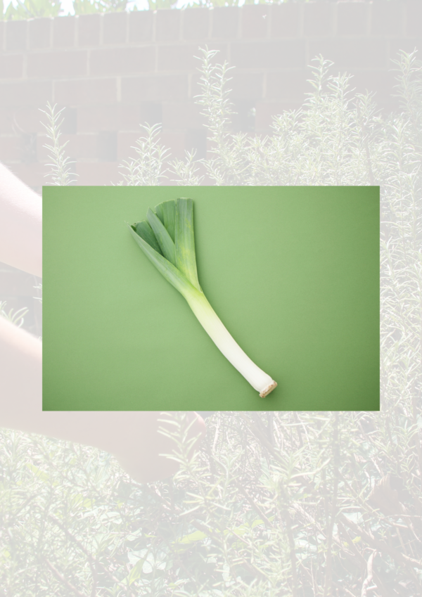 Leeks