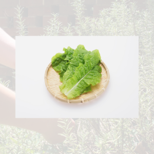 Pak Choi