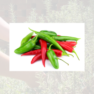 Mixed Pack Chilli
