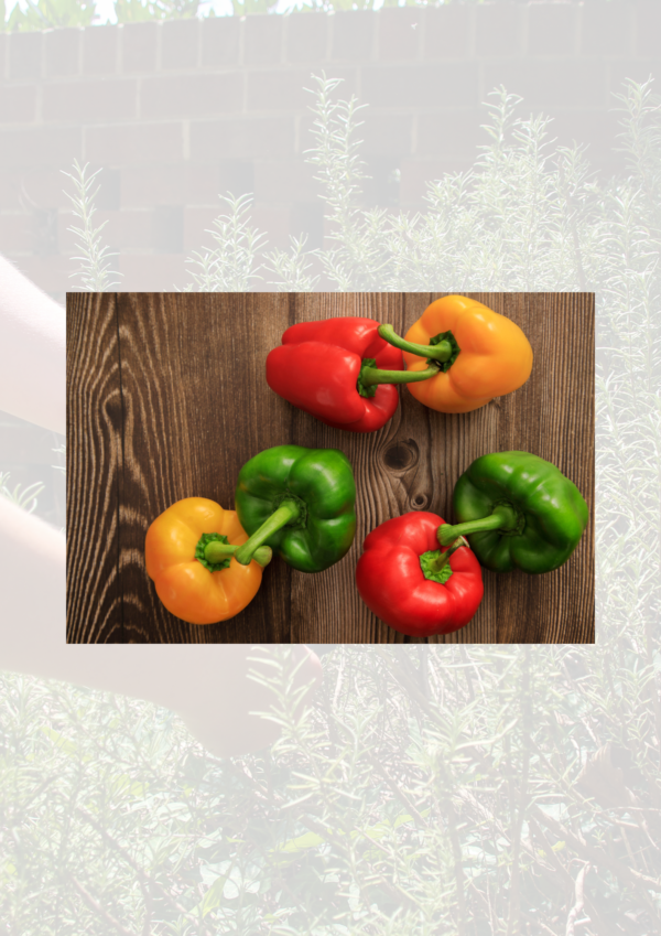 Mixed pack peppers