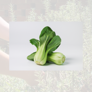 pak choi