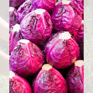 Red cabbage