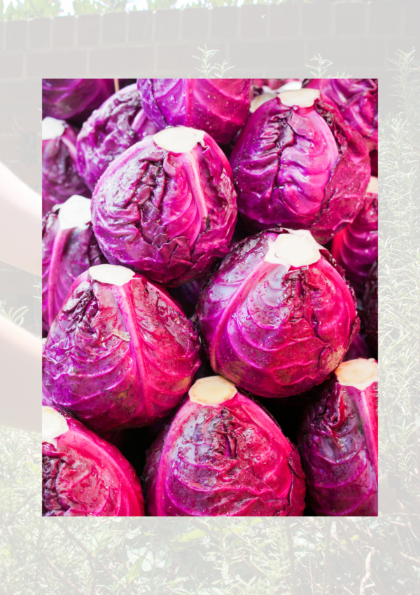 Red cabbage