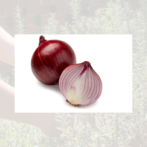 Red Onions
