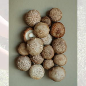 Shiitake Mushrooms