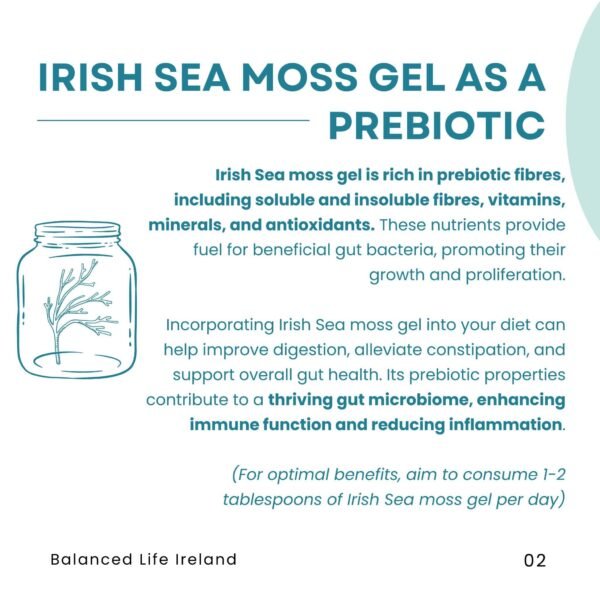 Organic Irish Sea Moss Gel - Image 5