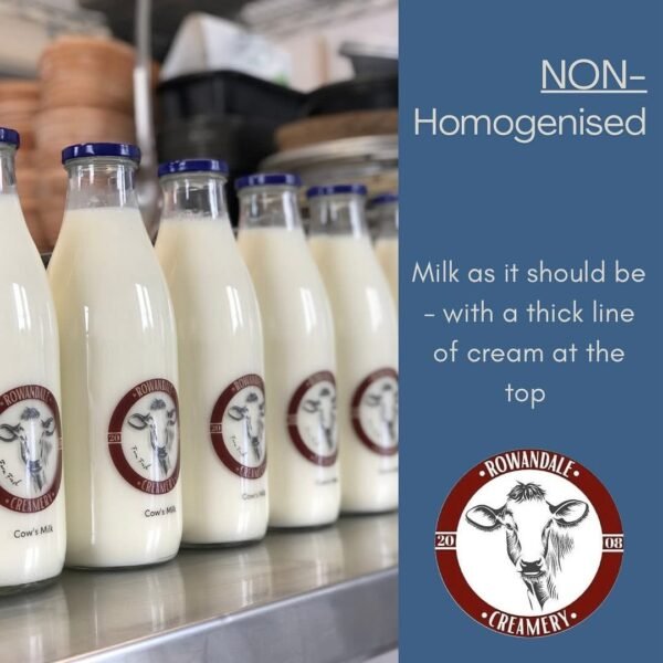 Fresh Creamy Bottled Rowandale Whole Milk 1L Glass Bottle - Image 2