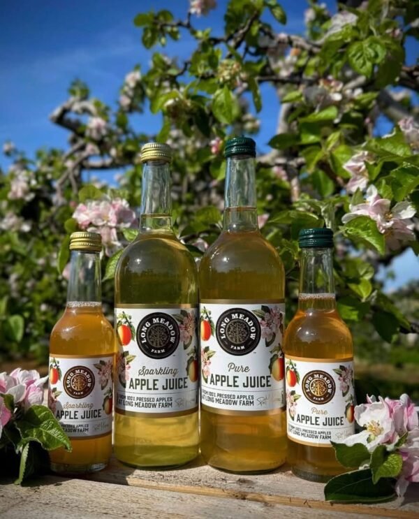 Sparkling Apple Juice (250ml)