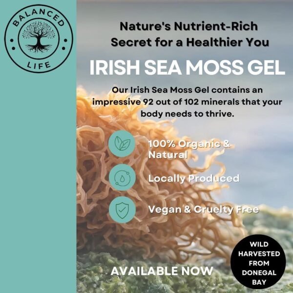 Organic Irish Sea Moss Gel - Image 4