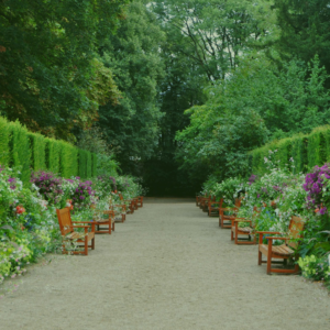 Hedging